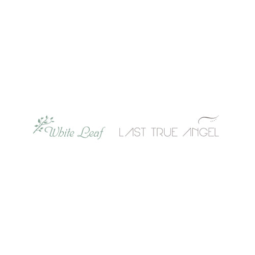 Last True Angel